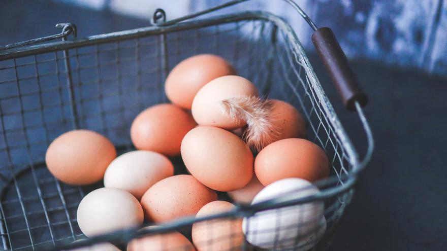 VÍDEO | ¿Es malo para la salud cuando los huevos tienen la cáscara sucia?