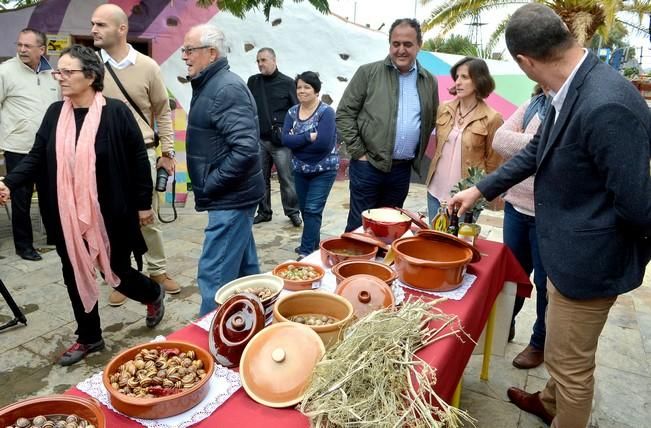 CARACOLES JORNADAS AGÜIMES