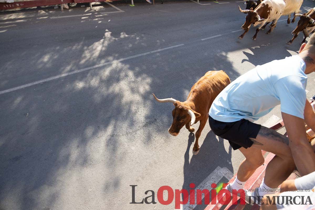 Tercer encierro Moratalla