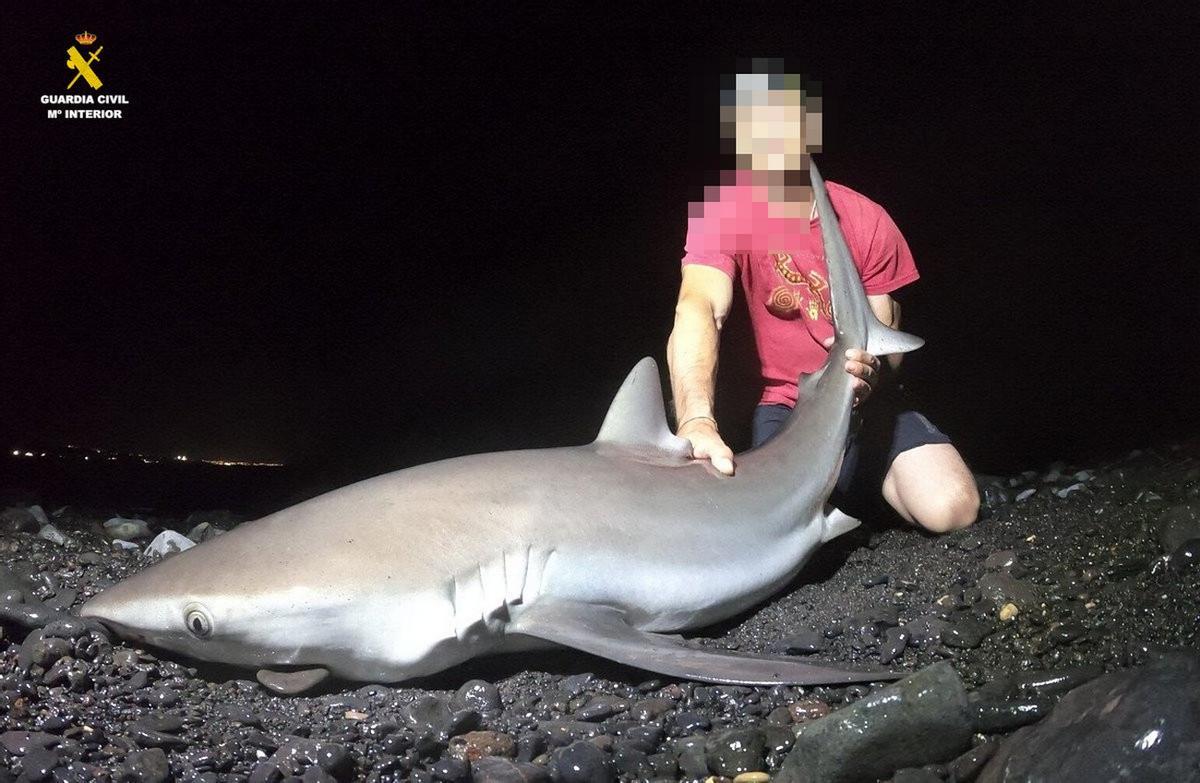 Detenido por vender excursiones para capturar tiburones en Lanzarote.