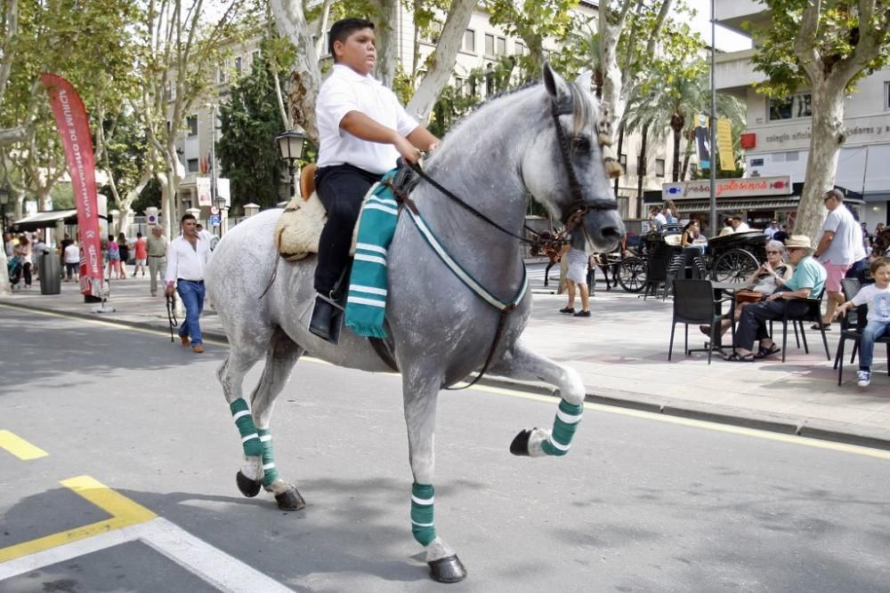 Día del Caballo en Alfonso X