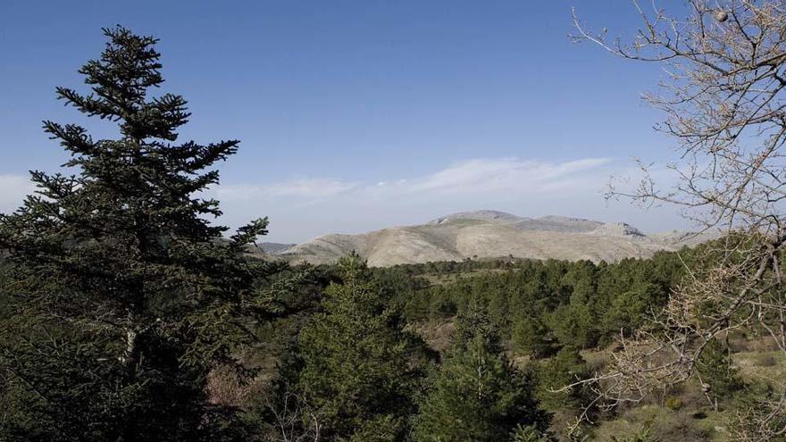 Una imagen de la Sierra de las Nieves.