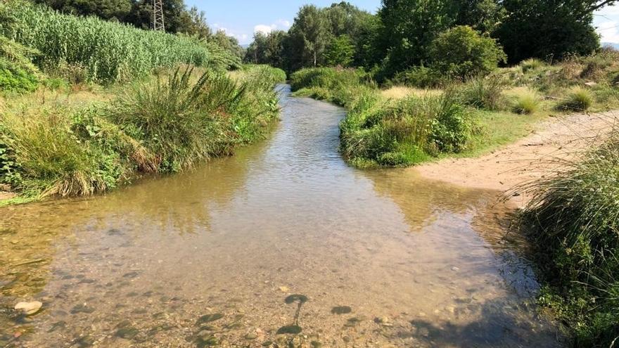 Ecologistes en Acció veu els rius catalans &quot;profundament contaminats&quot; amb plaguicides i tòxics