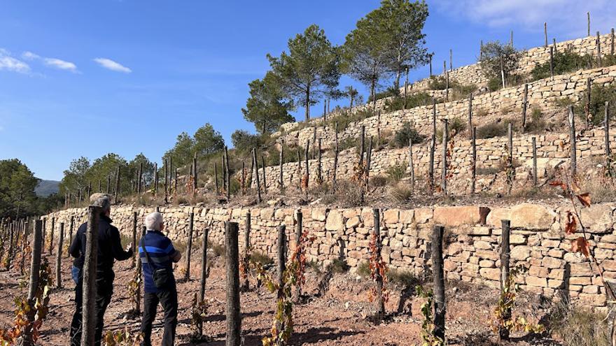 La DO Pla de Bages convoca una nova edició del Premi Viu la Pedra Seca