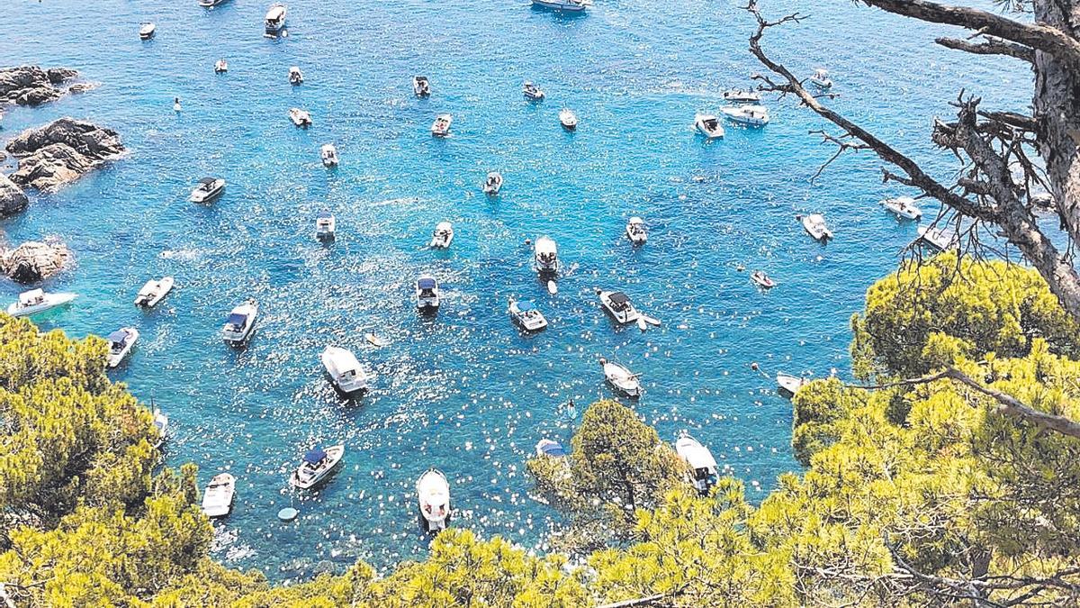 Embarcacions fondejant sobre una praderia de posidònia.