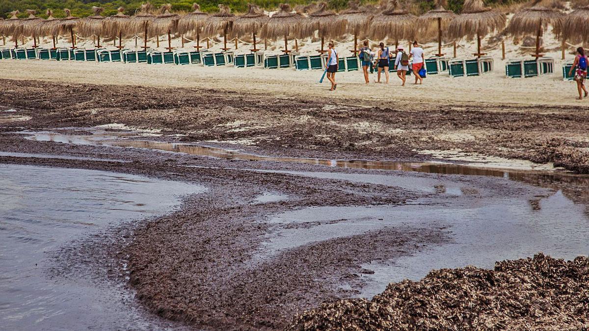 Madrid propone regenerar playas en Balears mediante bombas hidráulicas