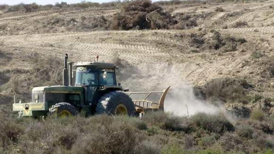 Los ecologistas denuncian al Seprona el desmonte de seis hectáreas de Sierra Escalona