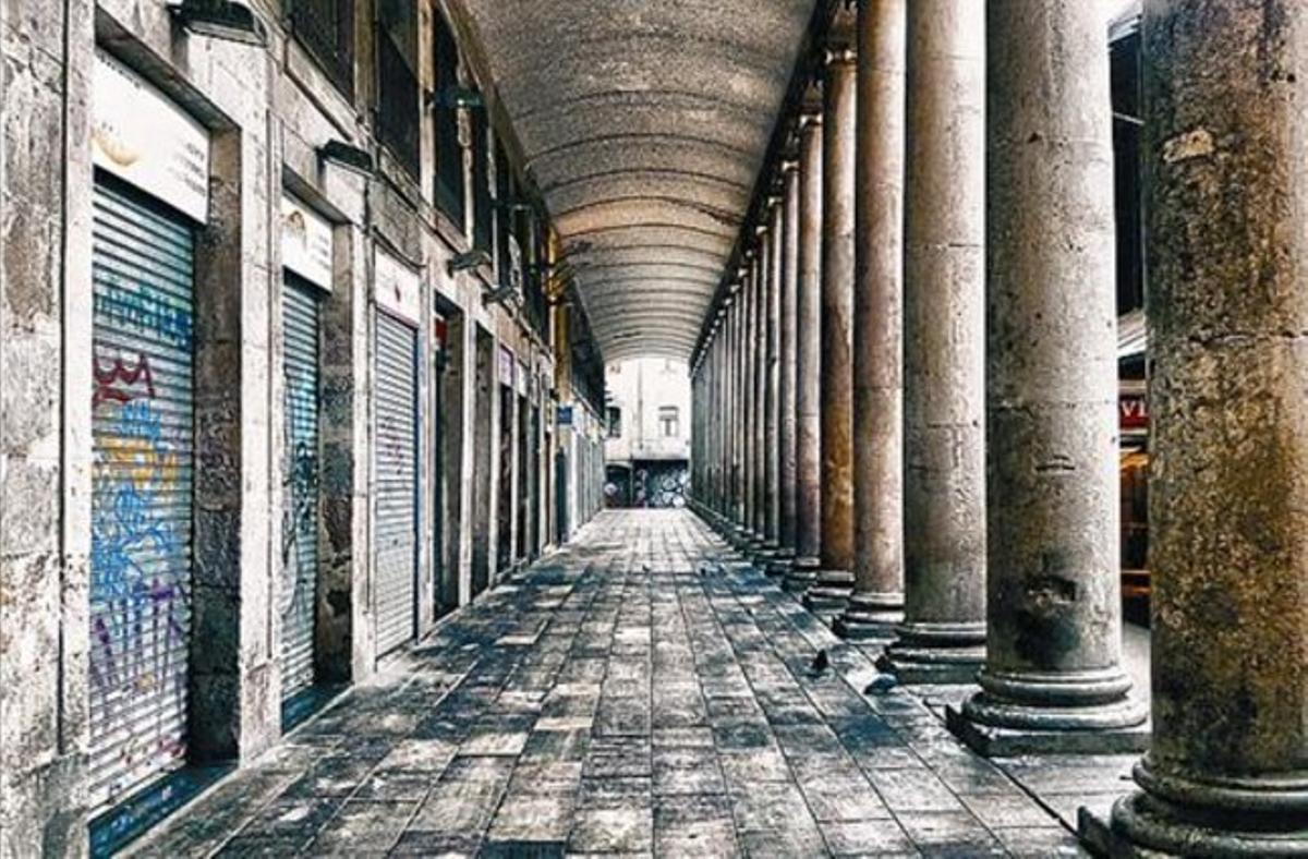 Les columnes del mercat de la Boqueria, a l’apartat ’Visions’. Les columnes del mercat de la Boqueria, a l’apartat ’Visions’.