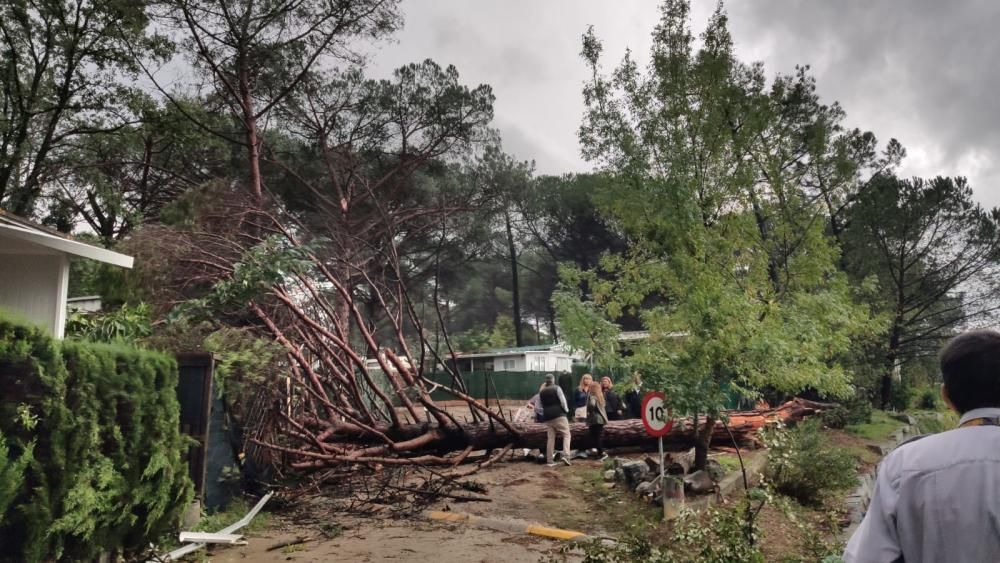 Un tornado destrossa un càmping a Gualba