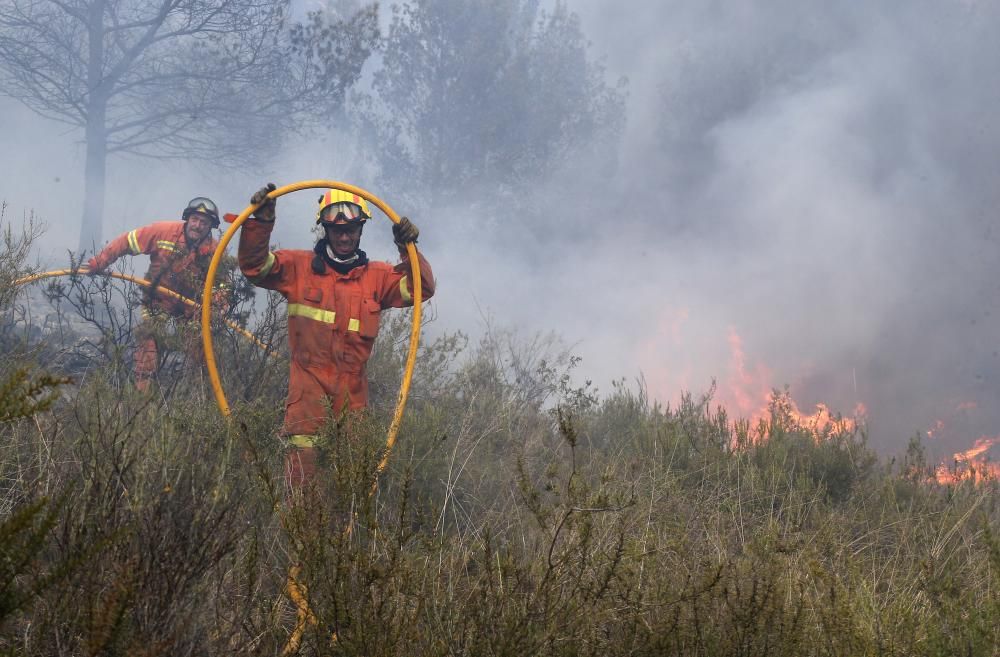 Incendio forestal en Carcaixent