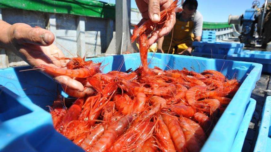 La presencia de cobre aumenta la tonalidad roja de las gambas