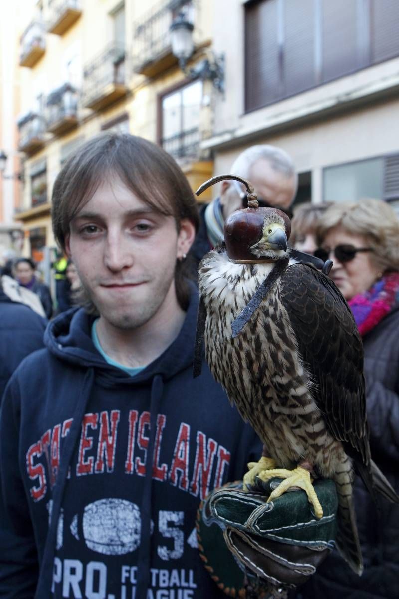 Fotogalería: Fiesta de San Antón