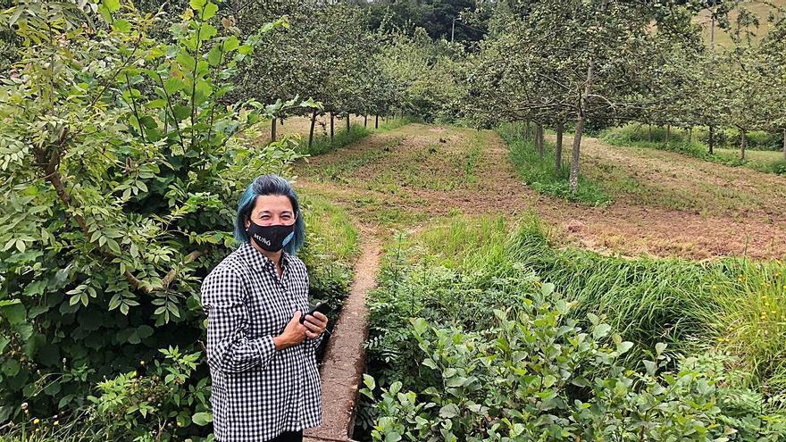 Muñó, tierra de arándano y manzana - La Nueva España - Vimarsana News