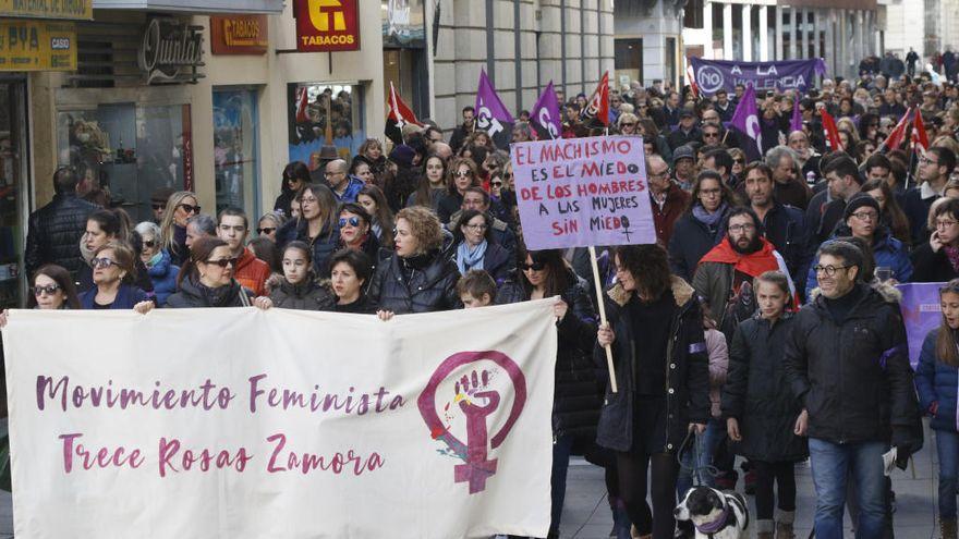 La asociación feminista de Zamora Trece Rosas durante una manifestación contra la violencia de género.