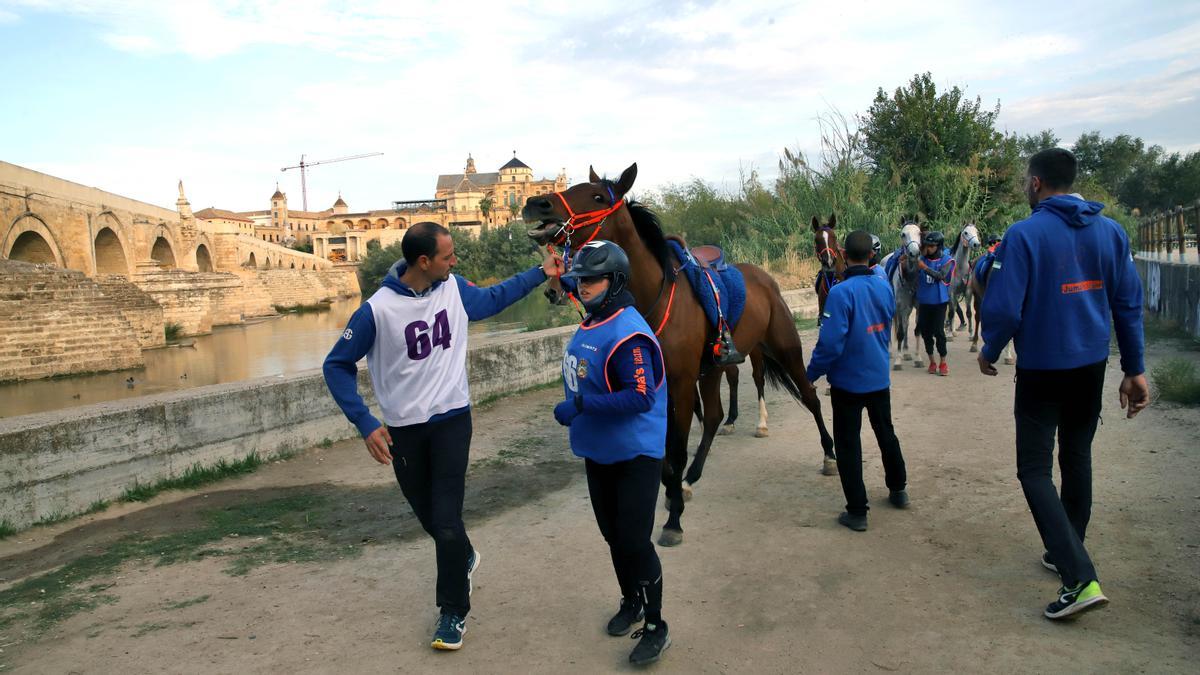 Primer Raid Córdoba para caballos árabes