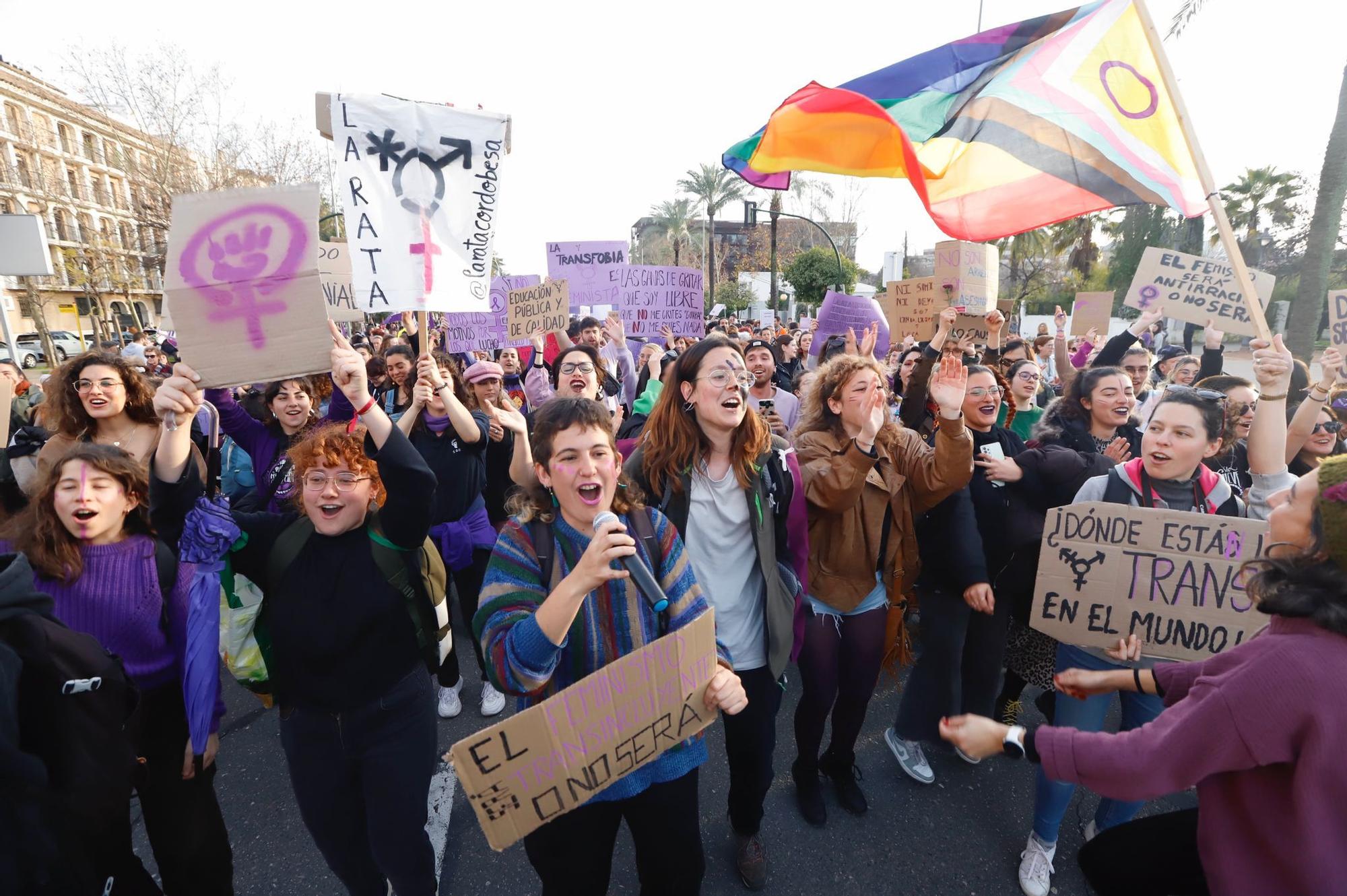 La manifestación del 8M recorre las calles de Córdoba