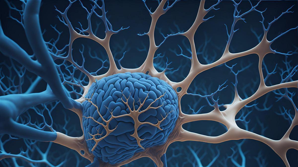 por qué el alzhéimer o el párkinson no nos afectan igual