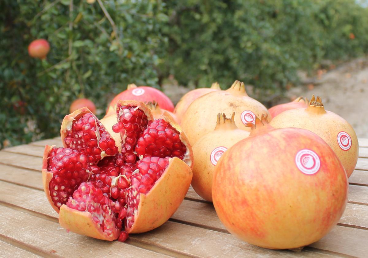 La granada mollar de Elche es la única que tiene Denominación de Origen Protegida