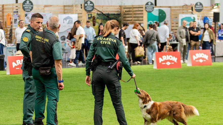 ExpoCoruña encara el último trimestre del año con una agenda de eventos profesionales y culturales