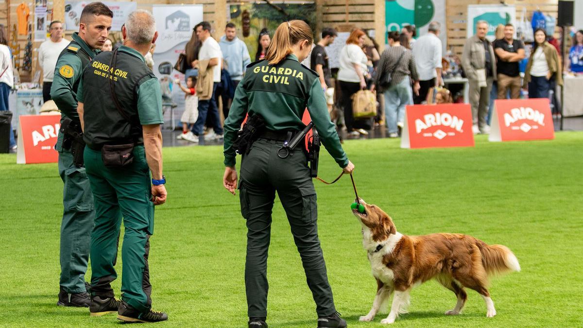 ExpoCoruña encara el último trimestre del año con una agenda de eventos profesionales y culturales