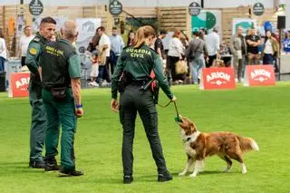 ExpoCoruña encara el último trimestre del año con una agenda de eventos profesionales y culturales