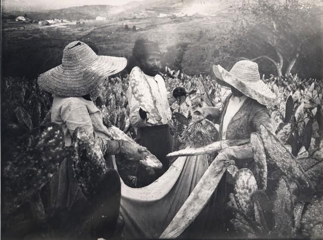 La mujer, fundamental en la cultura tradicional de Gran Canaria