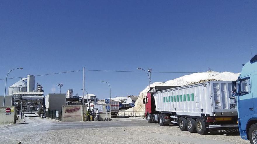 Transportistas acceden a las instalaciones de la fábrica para entregar las primeras partidas de remolacha.