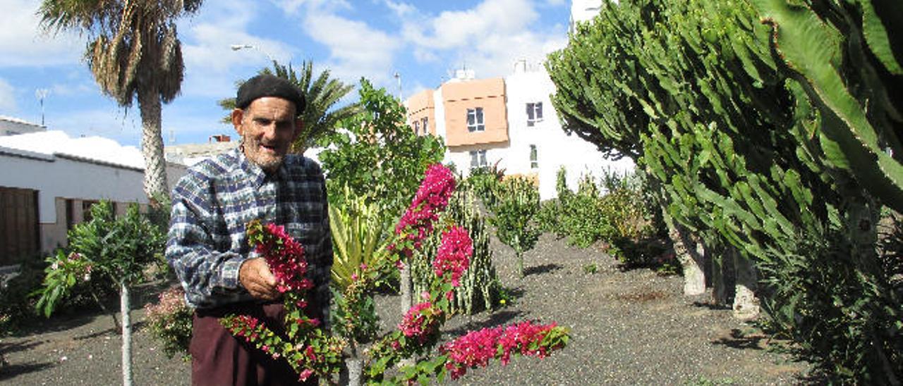 León Tejera en el jardín que cuidaba durante dos décadas junto a las Maretas de Arrecife en Argana Baja.