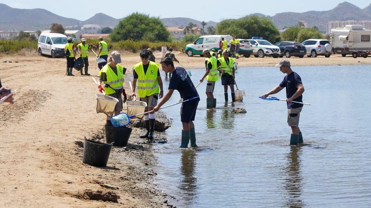 La destrucción del Mar Menor apunta a un drama ecológico en nuestro país.