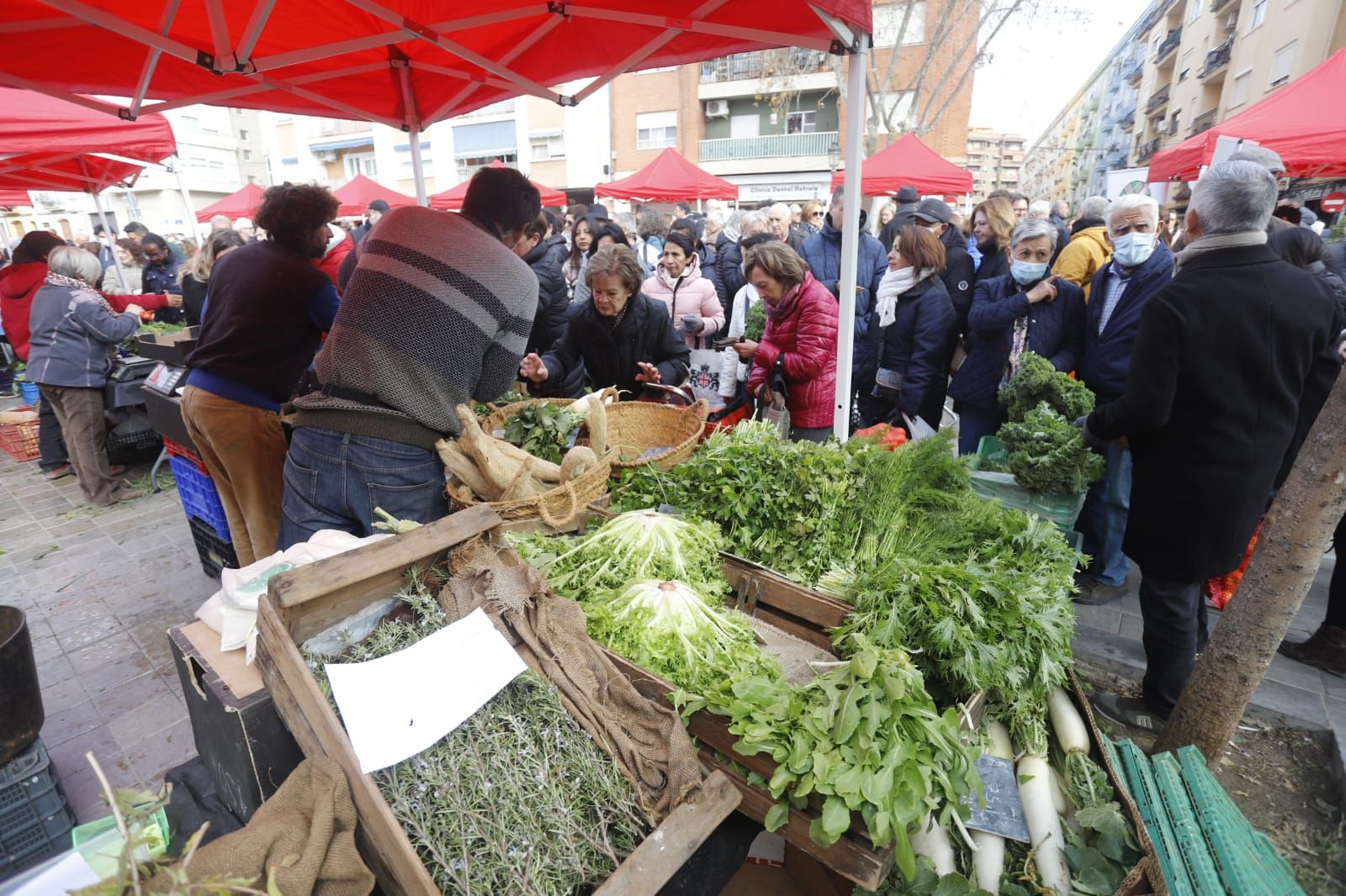 Mercado de proximidad en Patraix