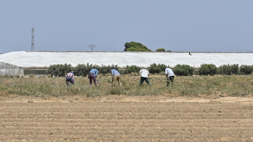 Fomento cree que el modelo agrícola del Campo de Cartagena necesita un cambio «urgente»