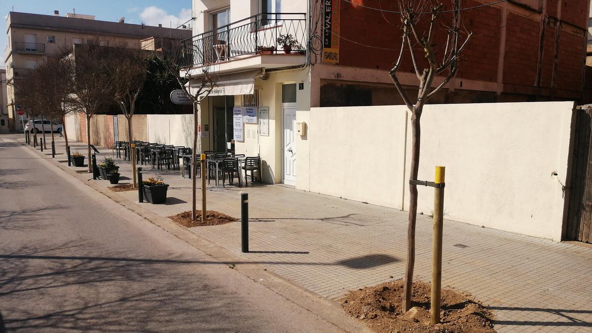 Rosersa fa una actuació de millora a l’arbrat viari i dels espais verds municipals