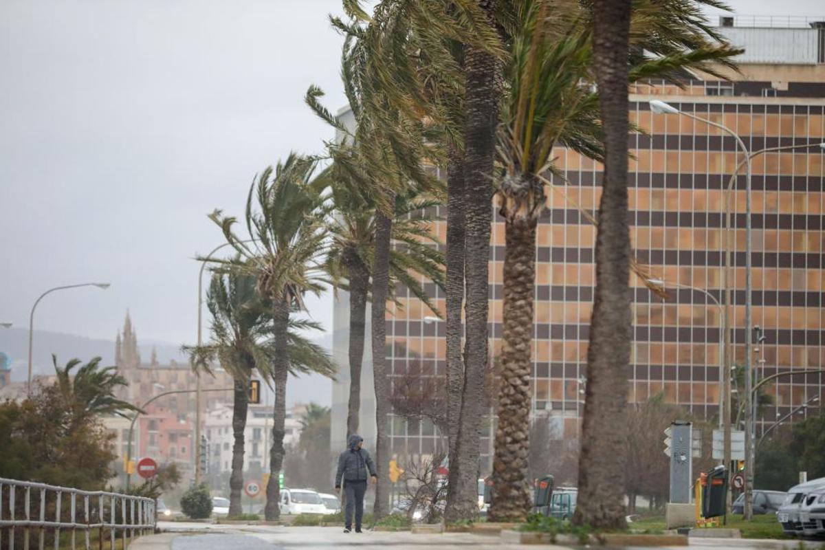 Temporal en Mallorca.