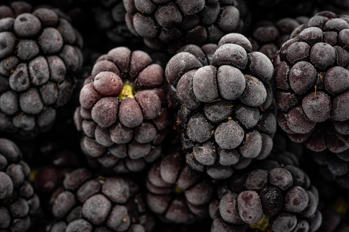 Las moras son un superalimento que ayuda a reducir el colesterol.