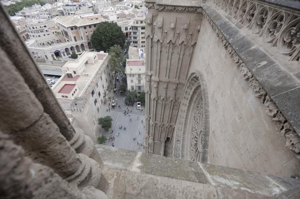 Visita guiada a las terrazas de la Seu