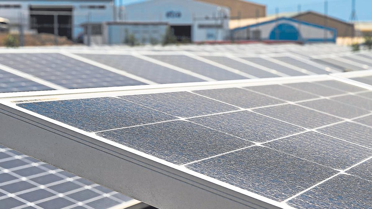 El Rosario Solar celebra su primer año con récords de ahorro y participación