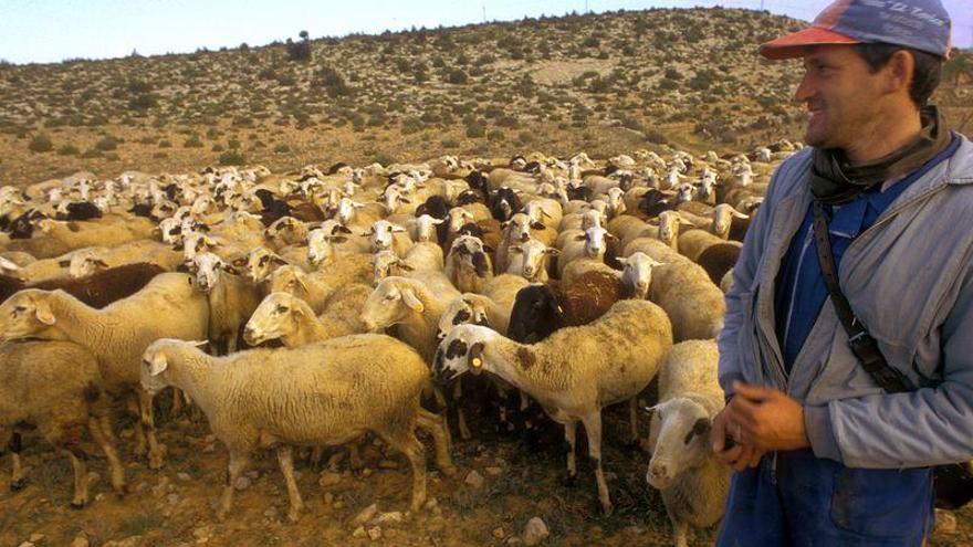 El Consell forma a los futuros pastores