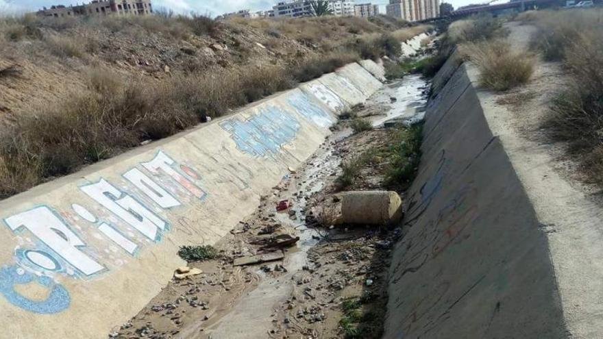 El PP de Alicante reclama al gobierno local que limpie la basura de un canal de Ciudad de Asís