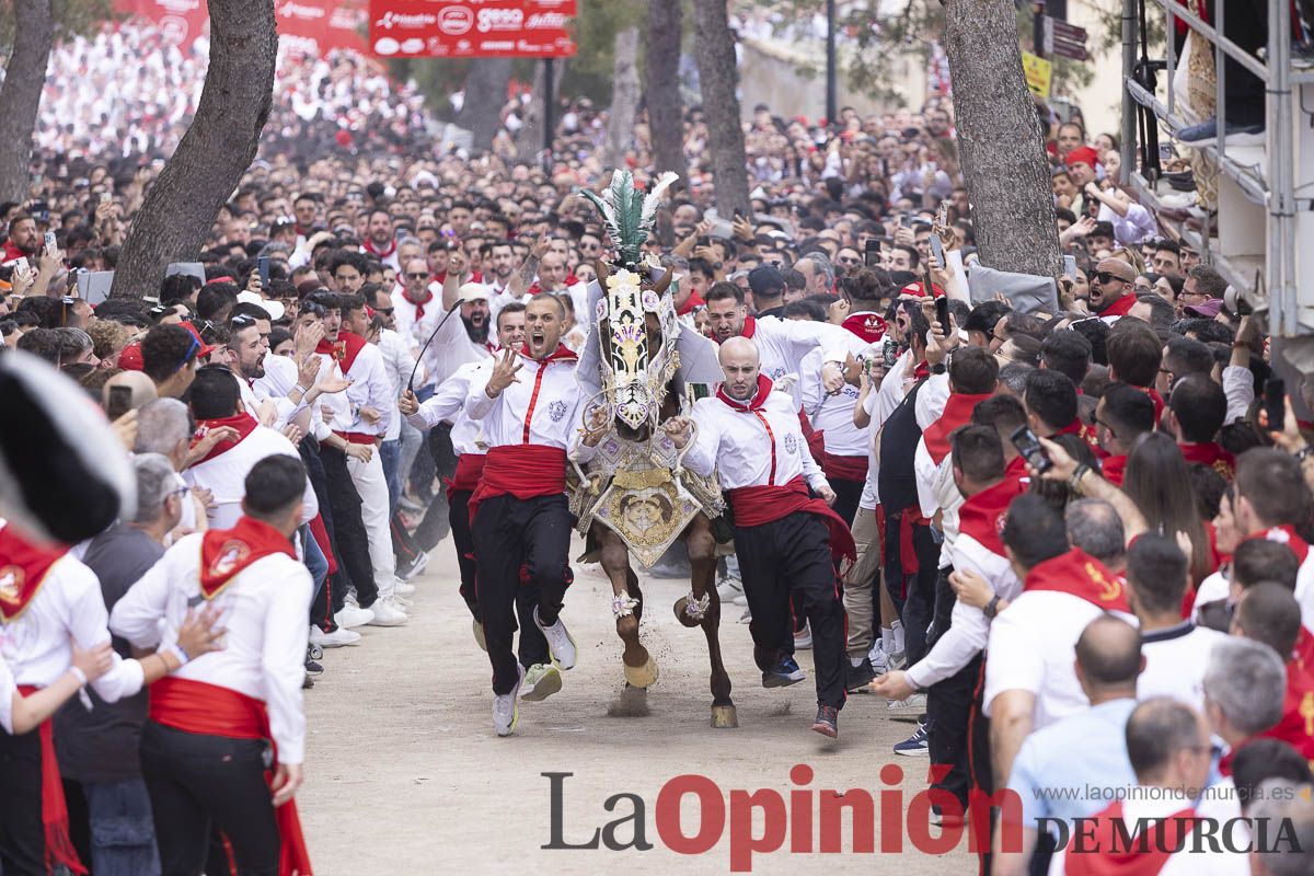 Así se ha vivido la carrera de Los Caballos del Vino en Caravaca