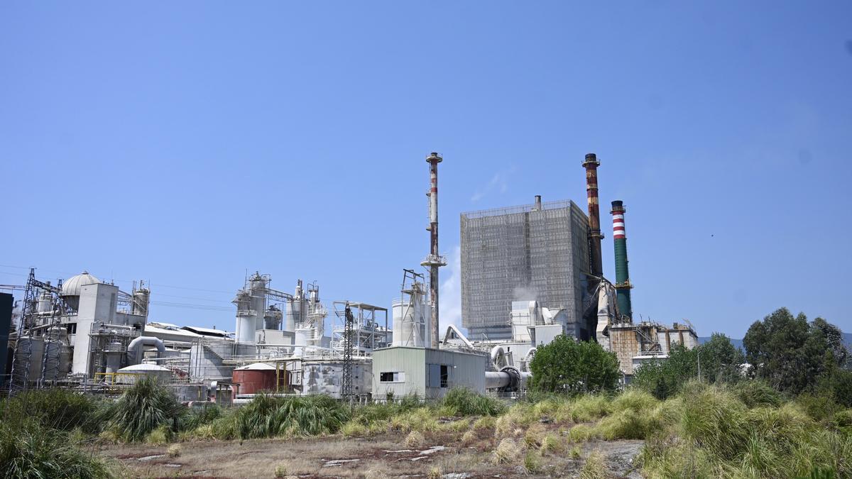 La planta de Ence en Lourizán tiene parada la producción desde el 21 de julio por la sequía