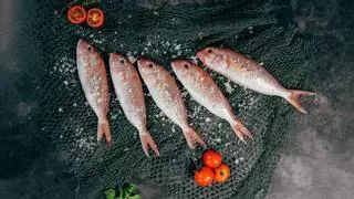 ¿Cuáles son los pescados que debemos comer, y los que no, por su contenido de mercurio?