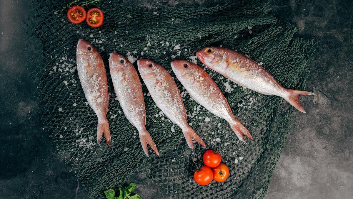 ¿Cuáles son los pescado y mariscos con menos contenido de mercurio?