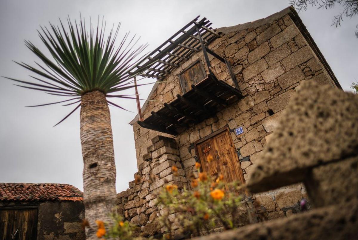 Tenerife solitaria y arrinconada