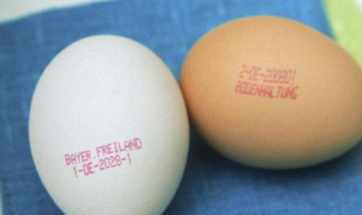 El factor decisivo en el código del productor es el primer dígito