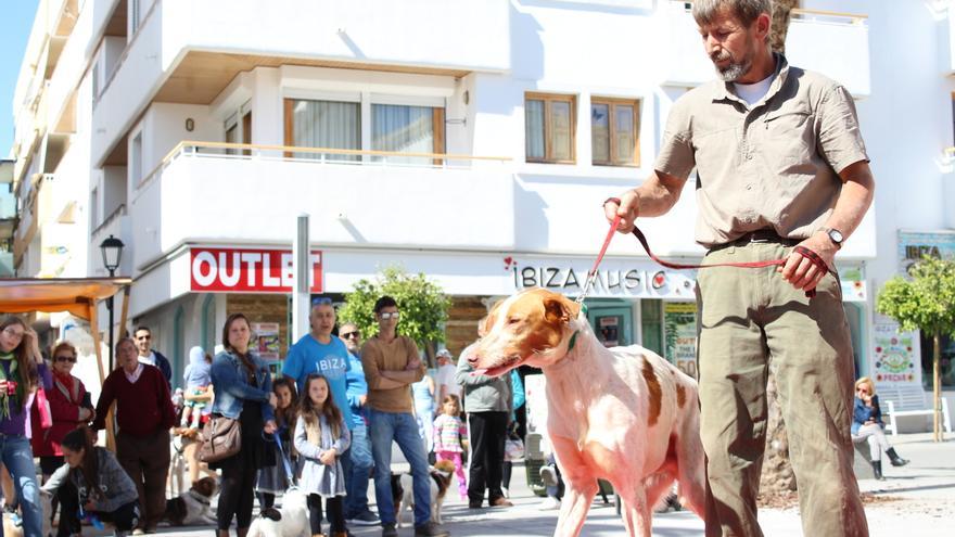 Mascotas en Ibiza: Pruebas de ADN caninas para luchar contra los excrementos en las calles