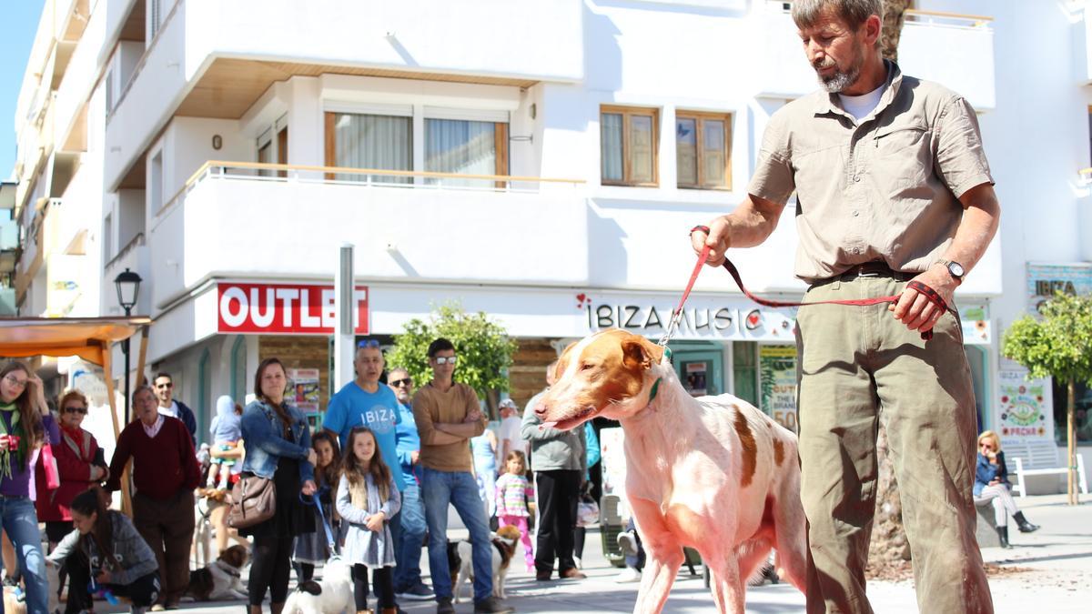 El Ayuntamiento quiere garantizar el bienestar animal y la limpieza en todo el término municipal.