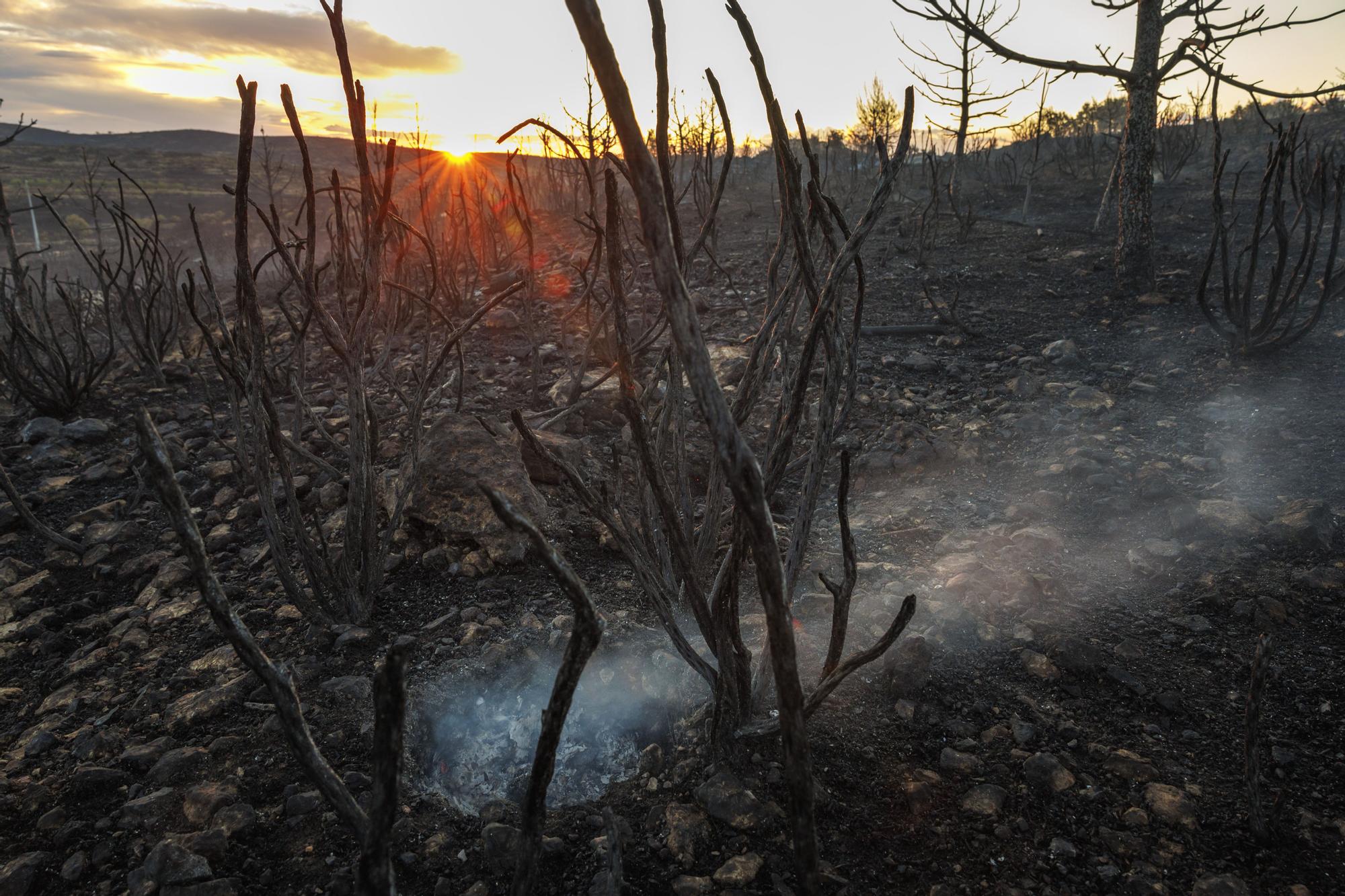 La lluvia reduce la llama del incendio de Bejís hasta casi desaparecer