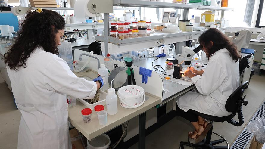 La CIG denuncia que la Universidade de Vigo sigue sin aplicar la subida salarial a más de 600 investigadores pese a una sentencia firme