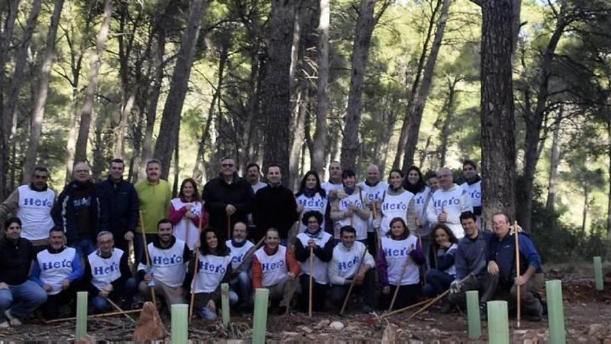 Trabajadores de Hero España colaboran en la plantación de árboles.