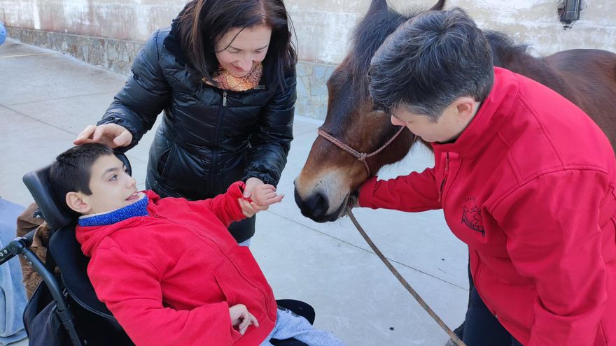 Las motivadoras clases de los caballos &quot;Melocotón&quot; y &quot;Manso&quot; en el colegio Edes, de Tapia